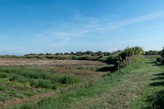 Isola Sacra - l'area agricola, l'argine e le attività sportive nell'area golenale del Tevere