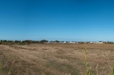 Le aree agricole della Riserva Naturale Statale del Litorale Romano